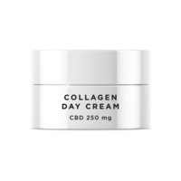 Crema Da Giorno Al Collagene